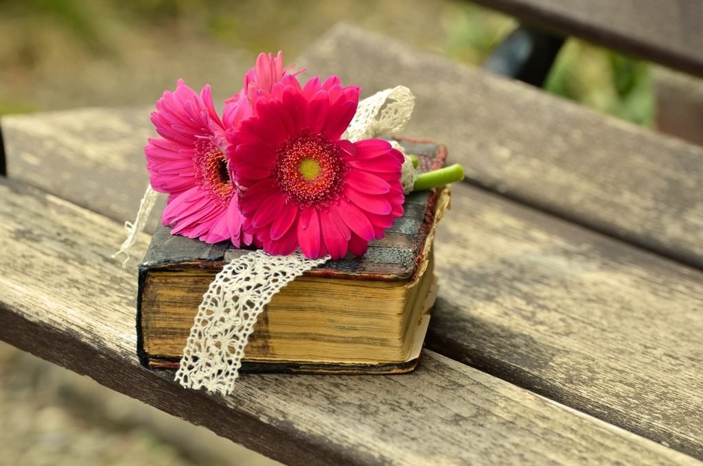 Biblia antigua con flores rosadas sobre una banca de madera